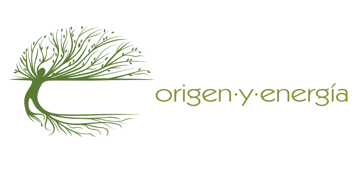 Logo design by Robin Perez - Origen y Energia